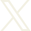 X icon